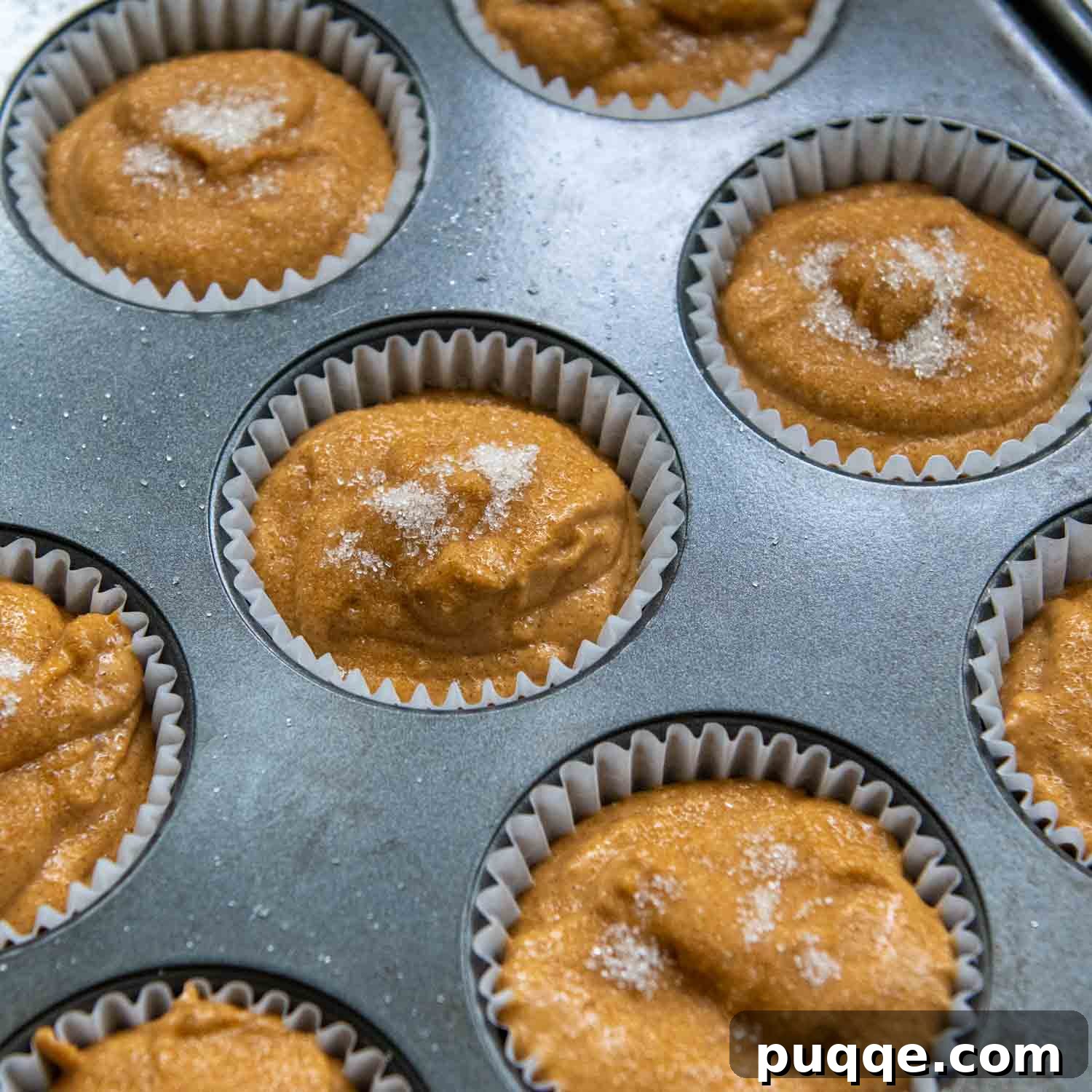 Fluffiest 5-Minute Pumpkin Oat Flour Muffins 6 unbaked pumpkin oat muffins in a muffin pan.