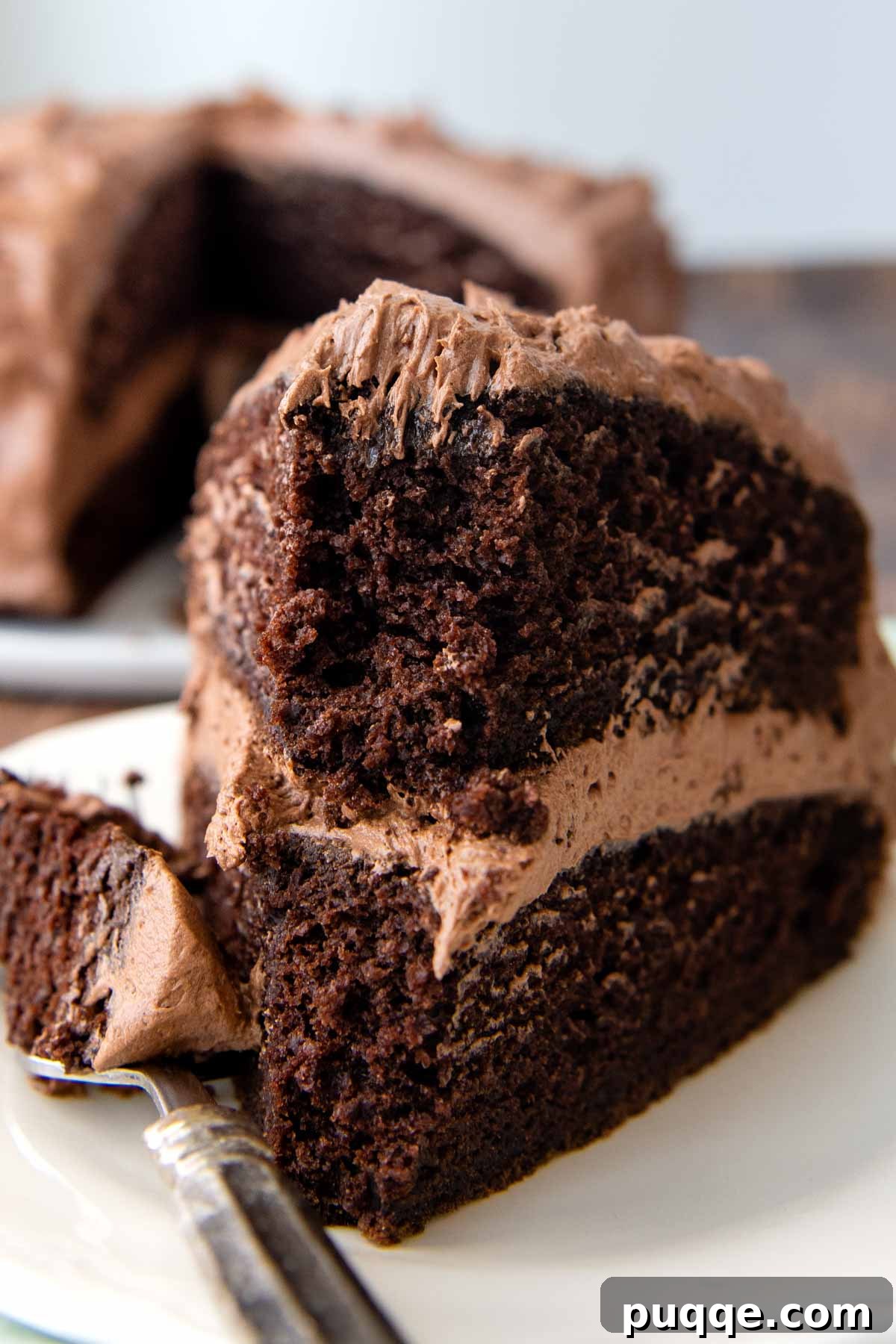 Decadently Moist & Easy Gluten-Free Chocolate Cake 7 A delicious slice of gluten-free chocolate cake with a bite taken out, showing its moist texture.