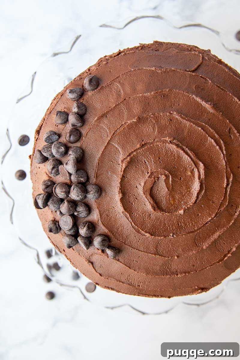 overhead view of a chocolate cake with chocolate chips decorating the top