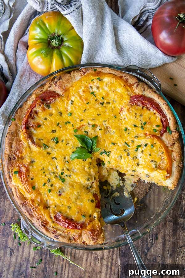 An overhead shot of a savory tomato pie with a slice removed, surrounded by fresh tomatoes.