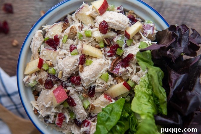 Vibrant Cranberry Chicken Medley 4 An overhead shot showcasing a bowl of Cranberry Pecan Chicken Salad, garnished with fresh lettuce leaves, ready to be served.