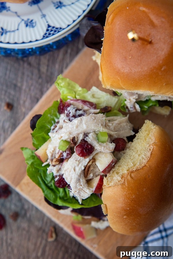 Vibrant Cranberry Chicken Medley 5 A vibrant overhead shot of an open-faced Cranberry Pecan Chicken Salad sandwich, garnished with fresh herbs, presented on a wooden cutting board.