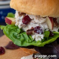 Vibrant Cranberry Chicken Medley 6 a chicken salad sandwich on a bun sitting on a wooden cutting board