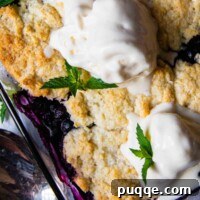 close up of top of gluten-free blueberry cobbler with melting ice cream on top and mint leaves