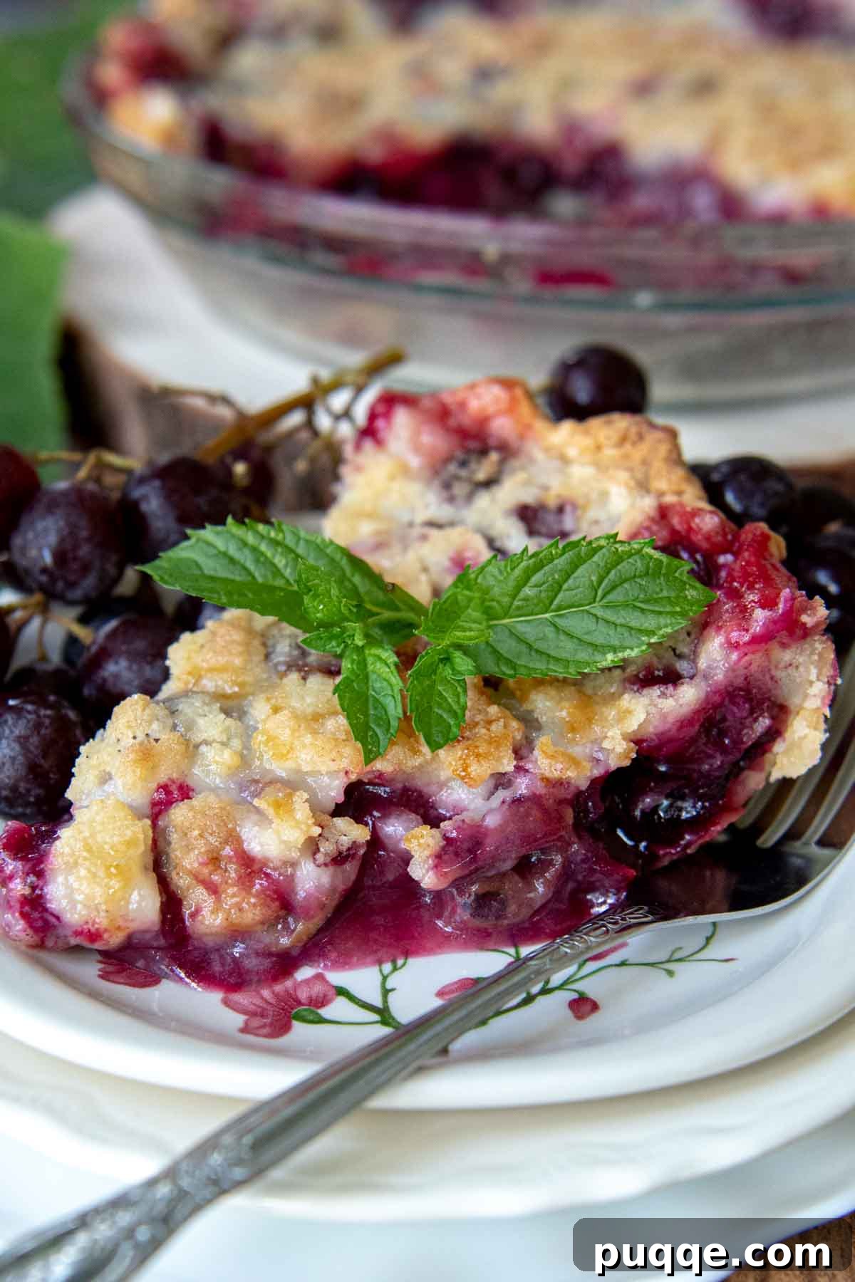 Classic Concord Grape Streusel Pie 8 A perfect slice of Concord grape pie on a white plate, garnished with a fresh mint leaf, with a fork resting beside it.