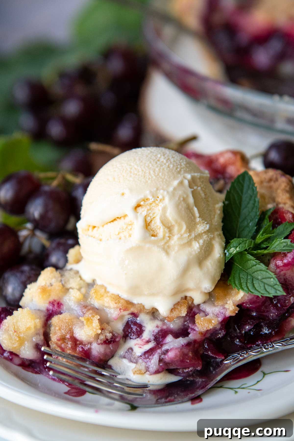 Classic Concord Grape Streusel Pie 9 A luscious slice of Concord grape pie adorned with a generous scoop of vanilla ice cream, which is just beginning to melt into the warm pie.