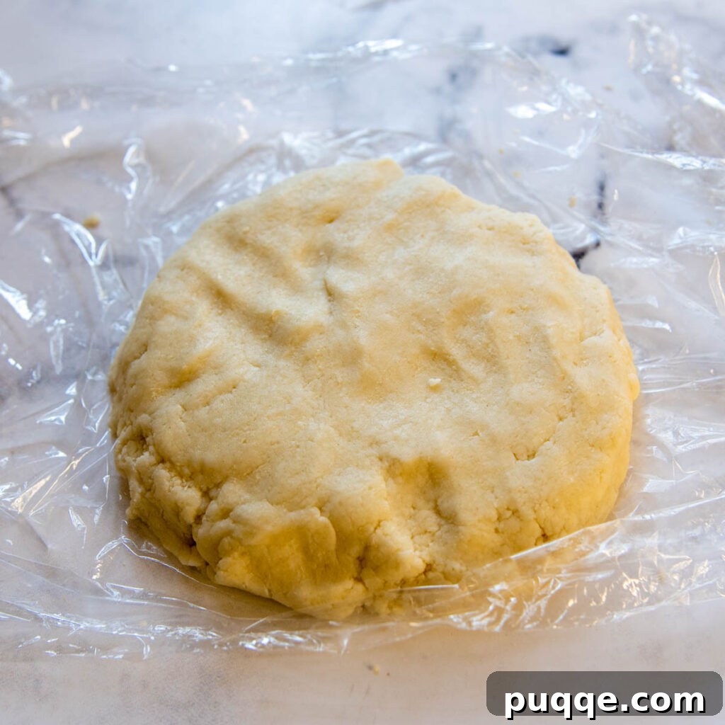 a thick disc of pie dough on plastic wrap.