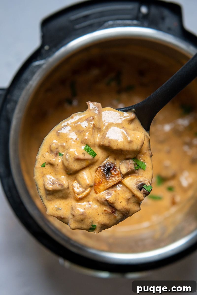 Tender Pressure Cooker Beef Stroganoff 5 A ladle full of creamy beef stroganoff being served directly from the Instant Pot, highlighting its tender consistency.