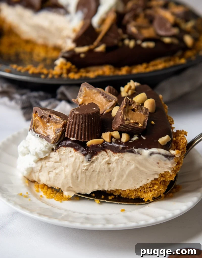 a slice of chocolate peanut butter pie on a white plate with a pie server
