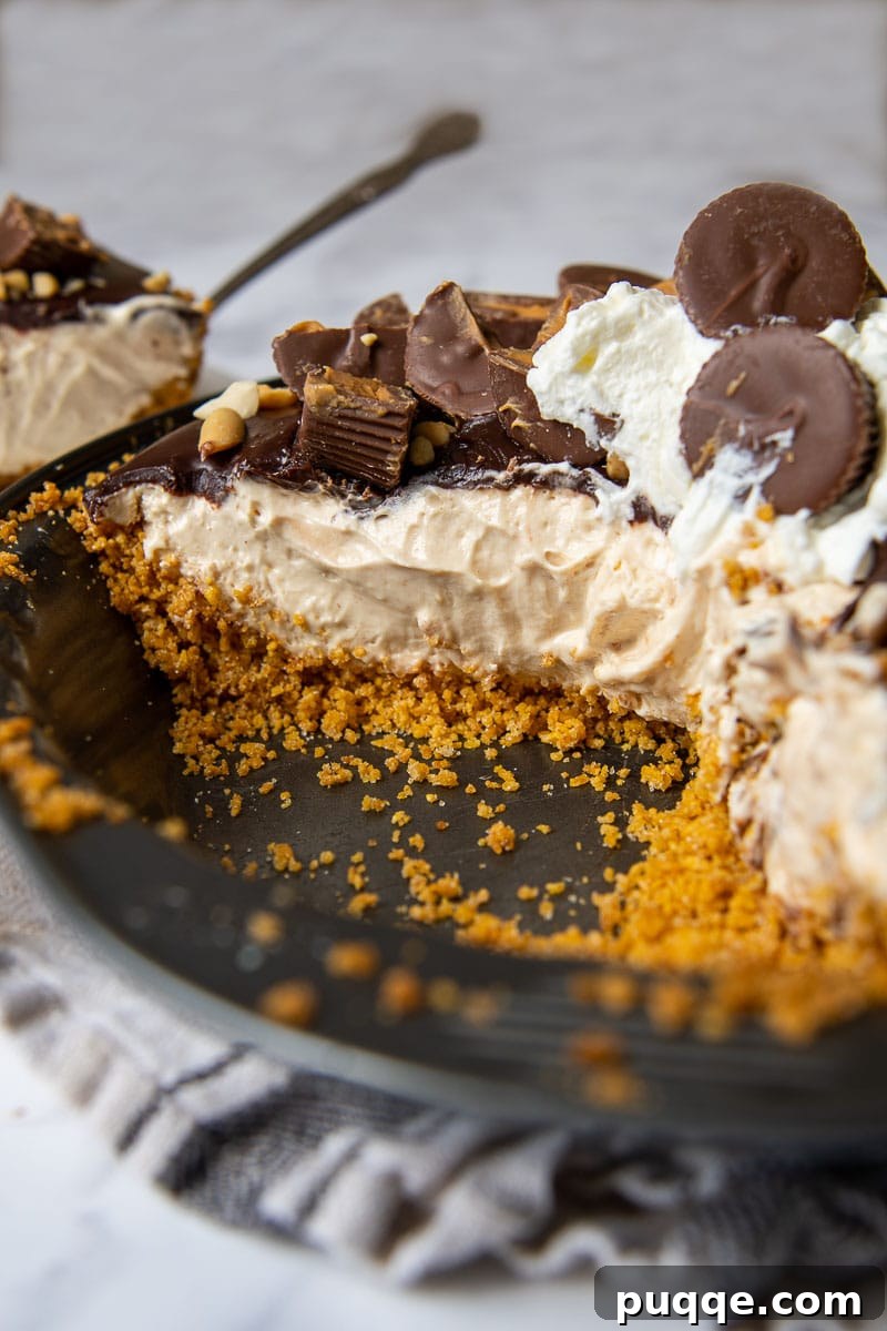 a slice taken out of a chocolate peanut pie with peanut butter cups on top