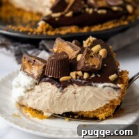 a slice of chocolate peanut butter pie on a white plate with a pie server