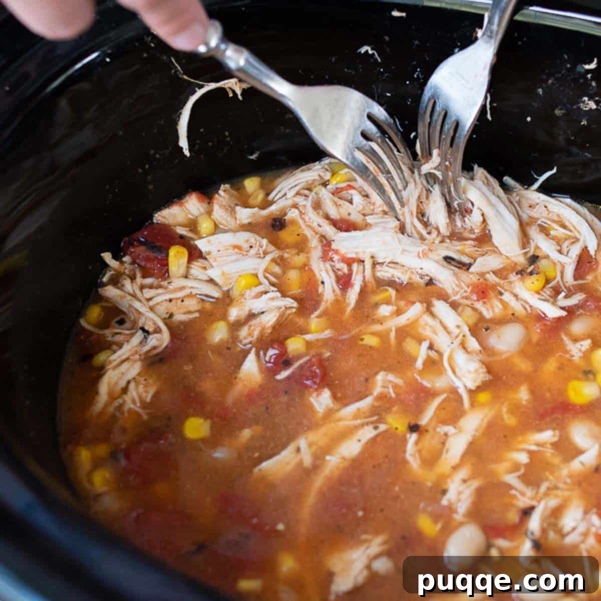 Award Winning Slow Cooker Buffalo Chicken Chili 5 Two forks are used to easily shred the tender cooked chicken breasts directly in the slow cooker, blending them into the chili base.
