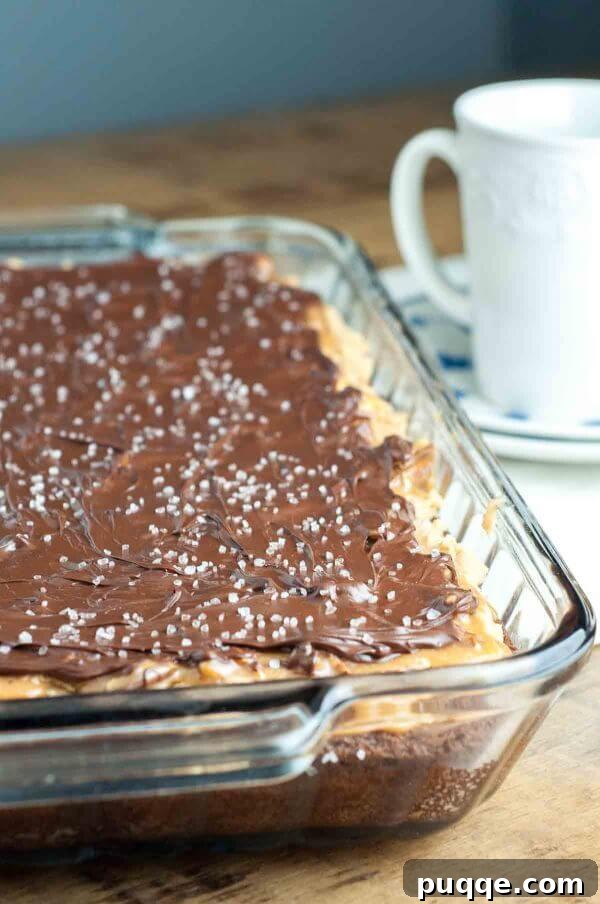 Buckeye Turtle Brownies recipe features rich fudgy brownies, a creamy peanut butter topping, sweet and salty caramel pecans, all finished with a smooth chocolate drizzle. This multi-layered dessert is perfect for any celebration or sweet craving.