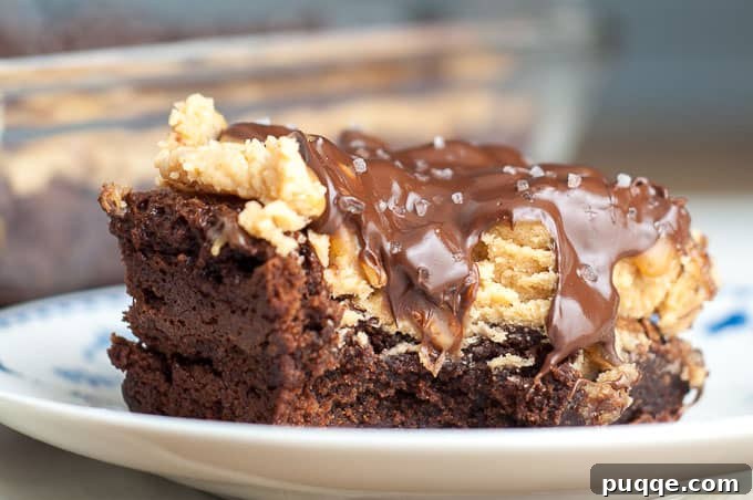 A single Buckeye Turtle brownie, with a visible bite taken from its side, rests elegantly on a white plate, showcasing its exquisite layers and inviting texture.