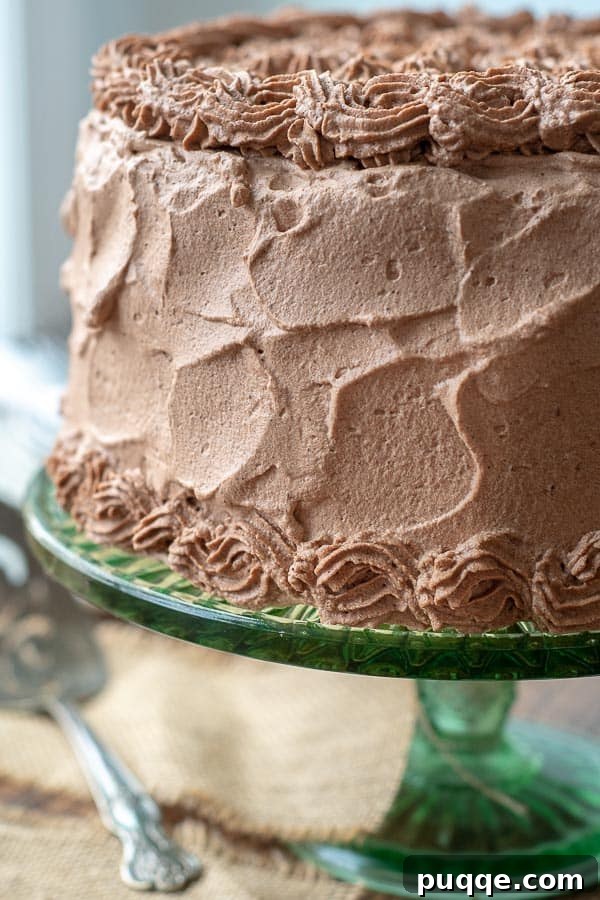 A beautifully frosted cake on a green cake stand, adorned with velvety chocolate whipped cream.
