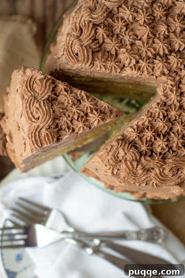 An overhead shot of a slice of cake being removed, showing the piped chocolate whipped cream frosting.