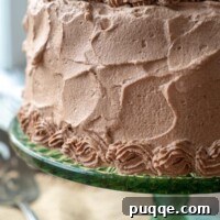 A cake on a green cake stand with chocolate whipped cream frosting all over it.