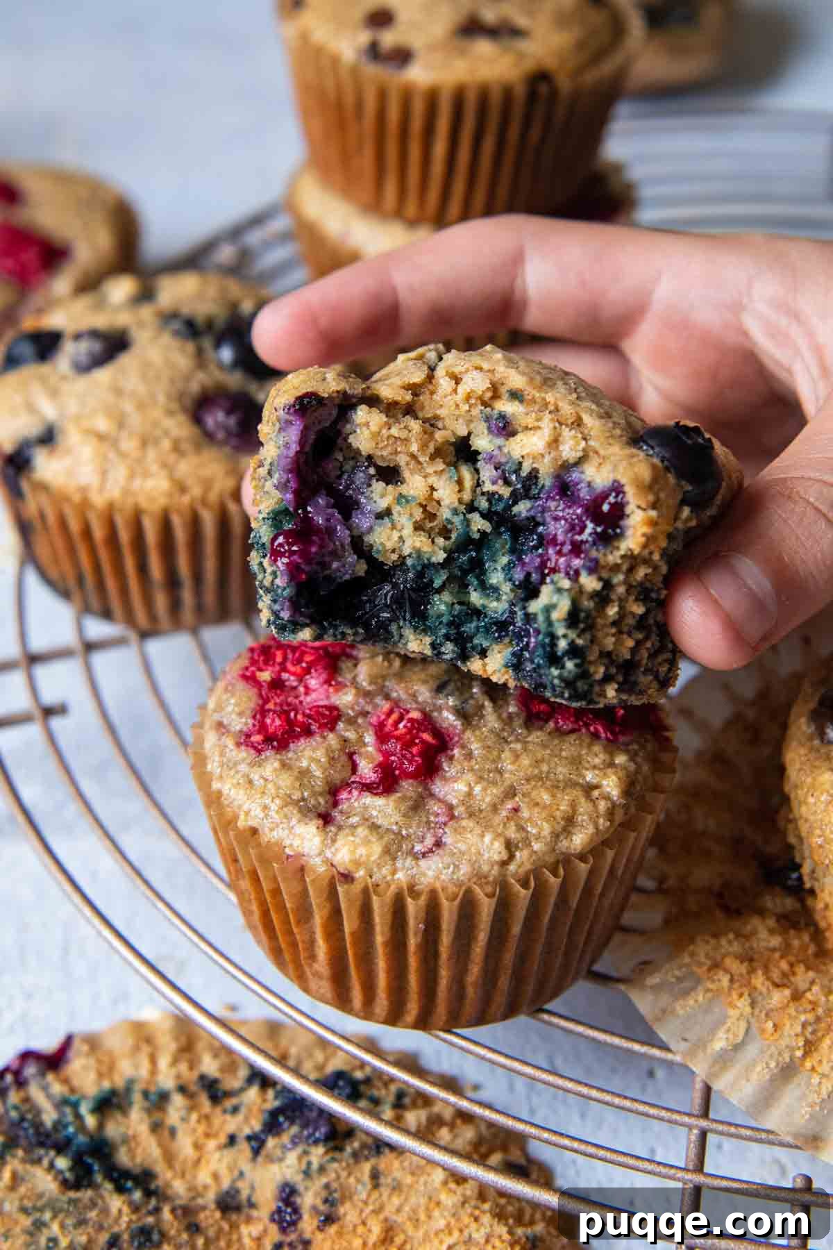 Pillowy 5-Minute Gluten-Free Oat Muffins 6 A perfectly baked blueberry muffin, with a bite taken out, is held up to showcase its fluffy interior and beautiful texture.