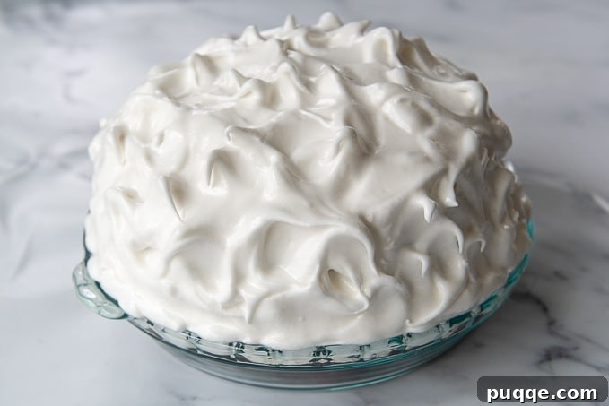 Baked Alaska: Fiery Meringue, Frozen Delight 9 The fully covered Baked Alaska, gleaming with meringue before baking, showing a uniform and beautiful coating.