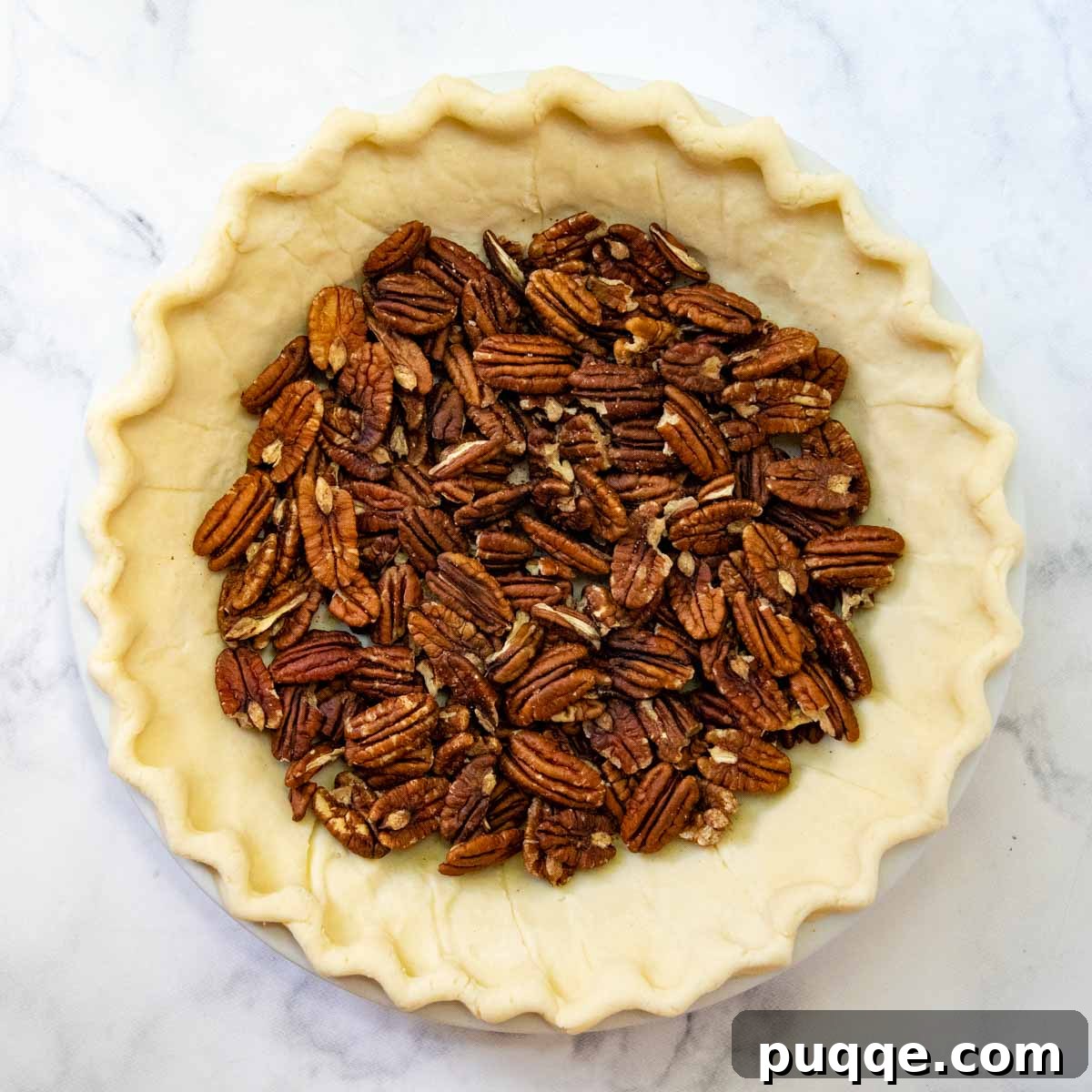 the pecans on the bottom of an unbaked pie crust.