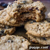 Two oatmeal cookies stacked together with bites taken out of them