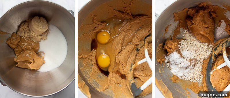 Double Peanut Butter Cookie Delights 3 A visual guide showing the steps to prepare the peanut butter cookie dough, including mixing ingredients and shaping cookies.