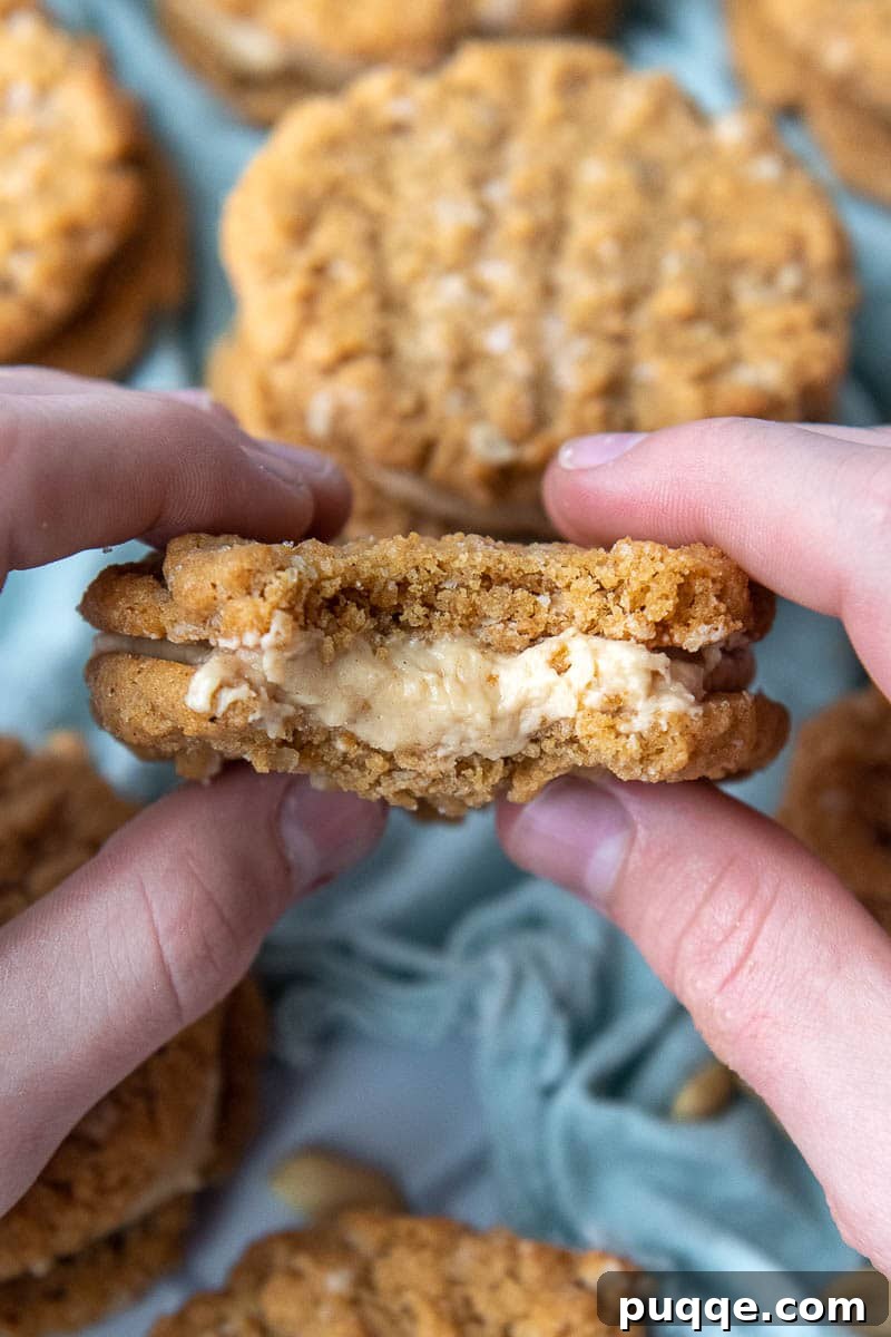 Double Peanut Butter Cookie Delights 5 Two hands gently holding up a Peanut Butter Cookie Sandwich with a bite taken out, revealing the creamy filling inside.