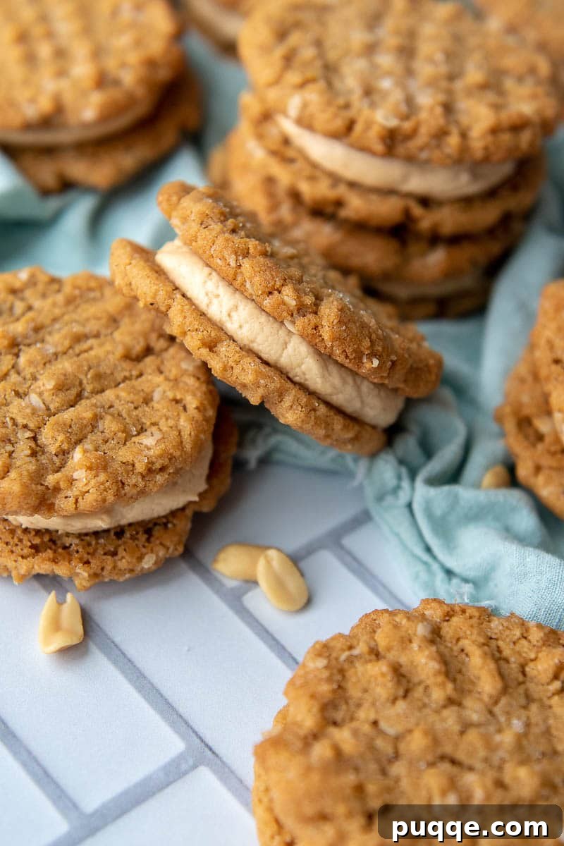 Double Peanut Butter Cookie Delights 6 A single Peanut Butter Cookie Sandwich with creamy filling, lying on its side, showing the perfect layers of cookie and filling.