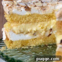 A slice of Blitz Torte with creamy custard and crunchy meringue