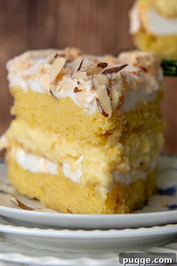A perfectly sliced piece of Blitz Torte displayed on a white plate, ready to be enjoyed.