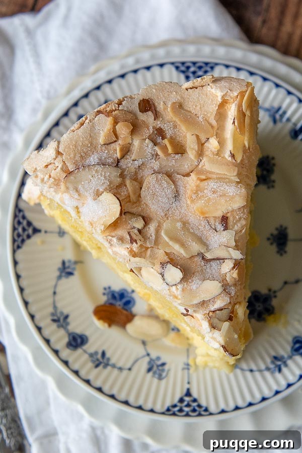 Overhead shot showcasing the beautifully baked and assembled Blitz Torte with its signature almond meringue topping.