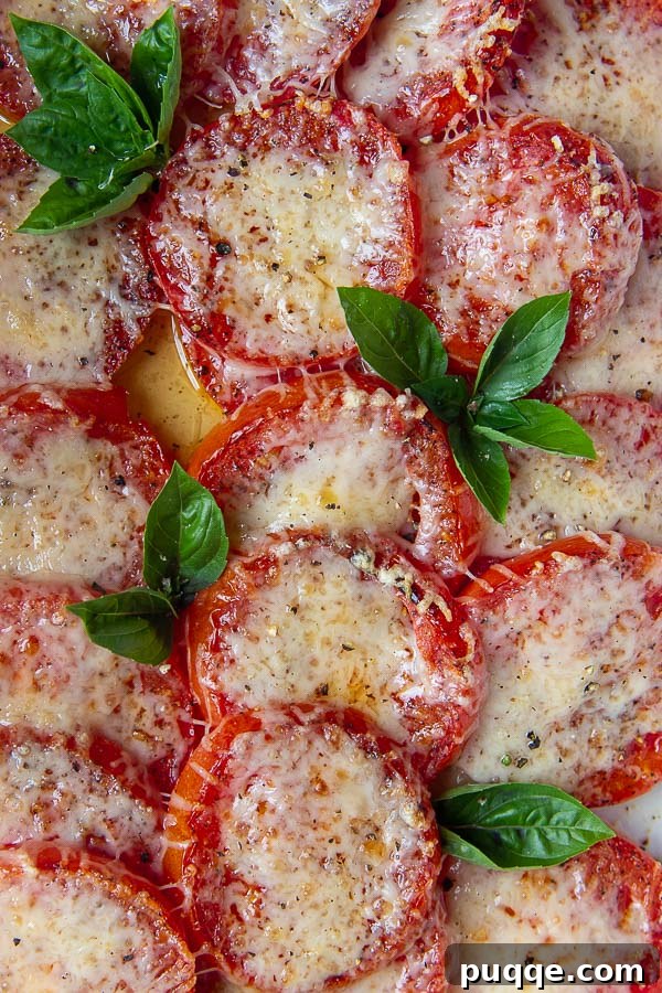 A pan of baked tomatoes topped with broiled, bubbly golden cheese.