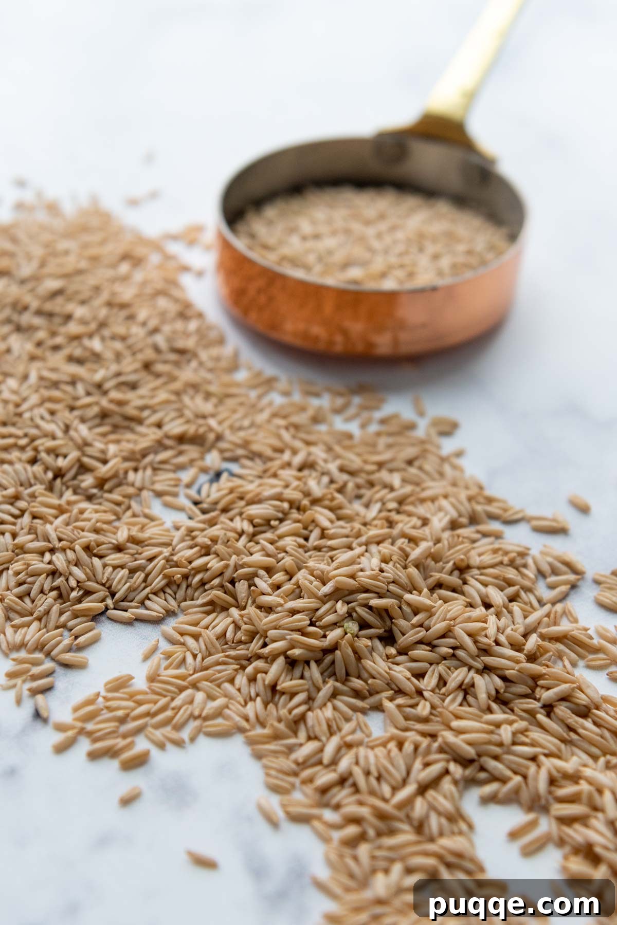The Perfect Bowl of Creamy, Tender Oat Groats 3 Uncooked oat groat grains are spread evenly across a pristine white marble countertop, showcasing their natural, raw texture.