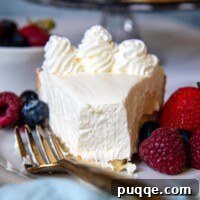 Quick Dreamy Gluten Free No Bake Cheesecake 9 A slice of creamy gluten-free cheesecake with a bite taken out, showcasing its rich texture.