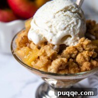 a serving of gluten free apple crisp with scoop of ice cream.