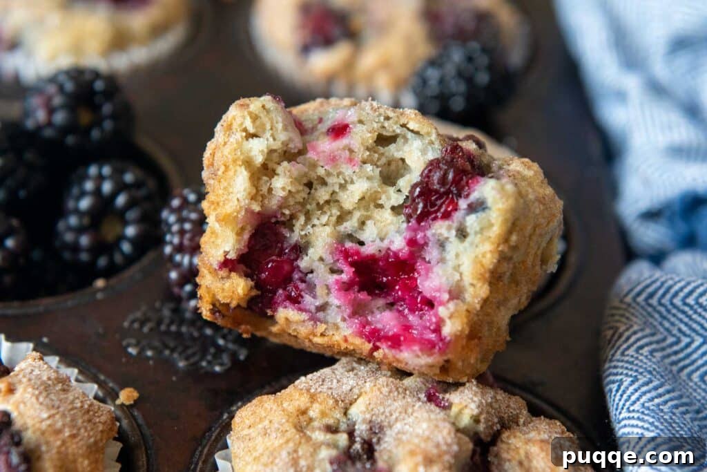 Pillowy Gluten-Free Blackberry Muffins 5 a bite taken out of a gluten-free blackberry muffin resting on a muffin tin, revealing its soft, berry-filled interior.