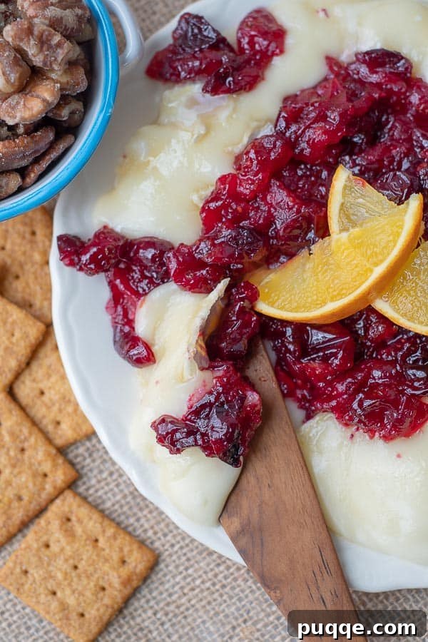 An overhead shot of a wooden knife cutting into a warm, gooey roasted cranberry baked brie, garnished with fresh herbs.