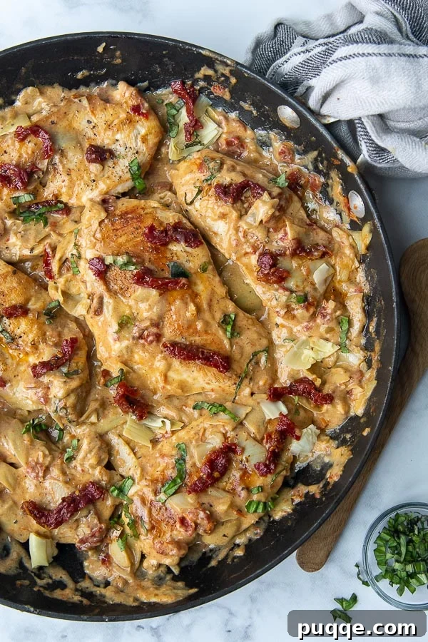Pratik Kremalı Kurutulmuş Domatesli Enginarlı Tavuk 6 Overhead shot of the finished sun-dried tomato artichoke chicken skillet, garnished with fresh basil.