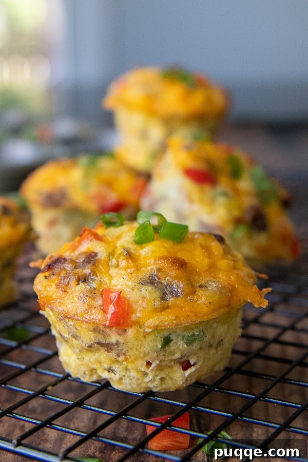 A close-up view of a freshly baked breakfast egg muffin cooling on a wire rack, showcasing its golden brown top and visible ingredients.