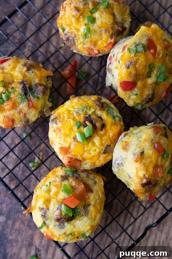 An overhead shot of a batch of freshly baked breakfast egg muffins arranged neatly on a wire cooling rack