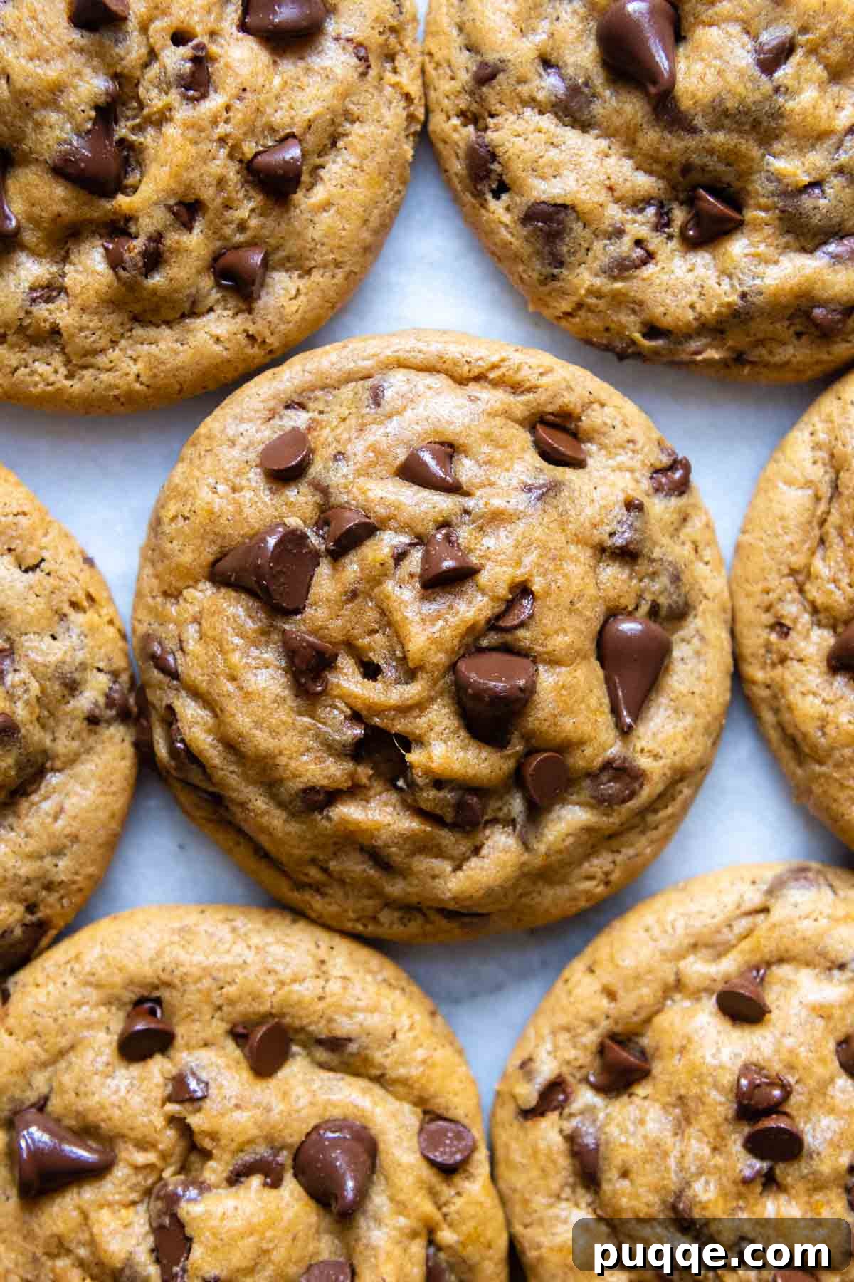The Ultimate Chewy Gluten-Free Pumpkin Cookies 7 Baked gluten-free pumpkin chocolate chip cookies arranged side-by-side on a white surface, showcasing their perfect texture and golden hue.