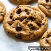 A perfectly baked gluten-free pumpkin cookie with melted chocolate chips on a white marble surface, ready to be served.