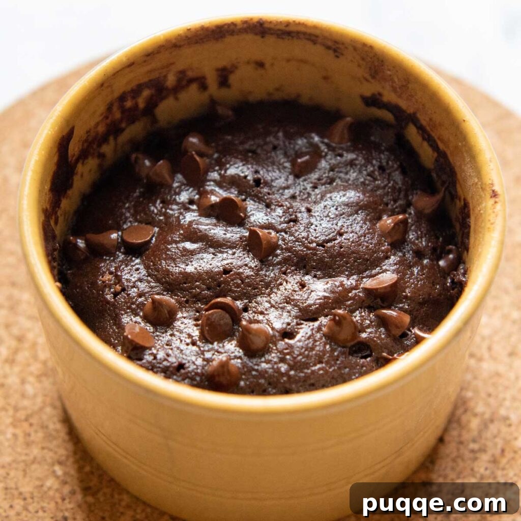 Effortless Gooey Fudgy Gluten-Free Mug Brownie 5 brownie cooked in a dish.