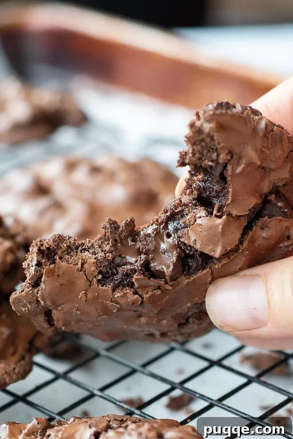 Intensely Fudgy Flourless Chocolate Chews 2 A perfectly baked flourless chocolate cookie, held up with a bite taken out, showcasing its gooey center and crackly exterior. Ideal for gluten-free diets and chocolate lovers alike.