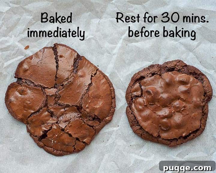 Intensely Fudgy Flourless Chocolate Chews 7 side by side comparison of gluten free flourless cookies baked without batter resting and cookies with batter rested