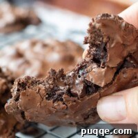 Intensely Fudgy Flourless Chocolate Chews 8 A delicious flourless chocolate cookie with a bite taken out, showing its fudgy interior.