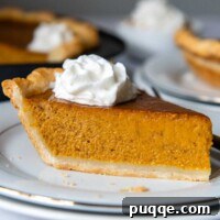 A perfectly baked slice of gluten-free pumpkin pie on a clean white plate, ready to be enjoyed.