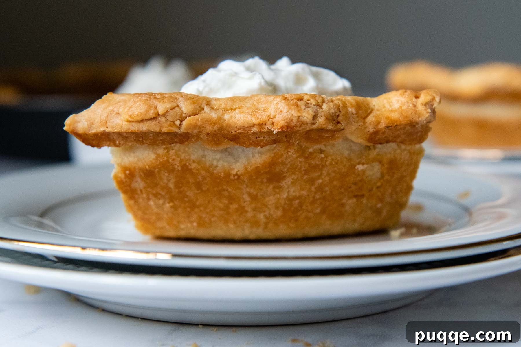 The back view of a perfectly baked pumpkin pie, showcasing its golden, crisp bottom crust – a testament to the effective baking techniques.