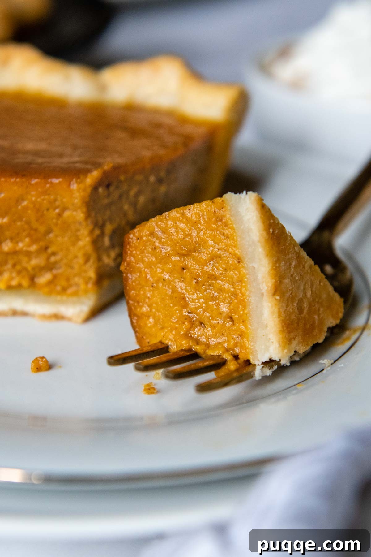 A fork taking a delicious bite of gluten-free pumpkin pie, showcasing its perfect texture and rich filling.