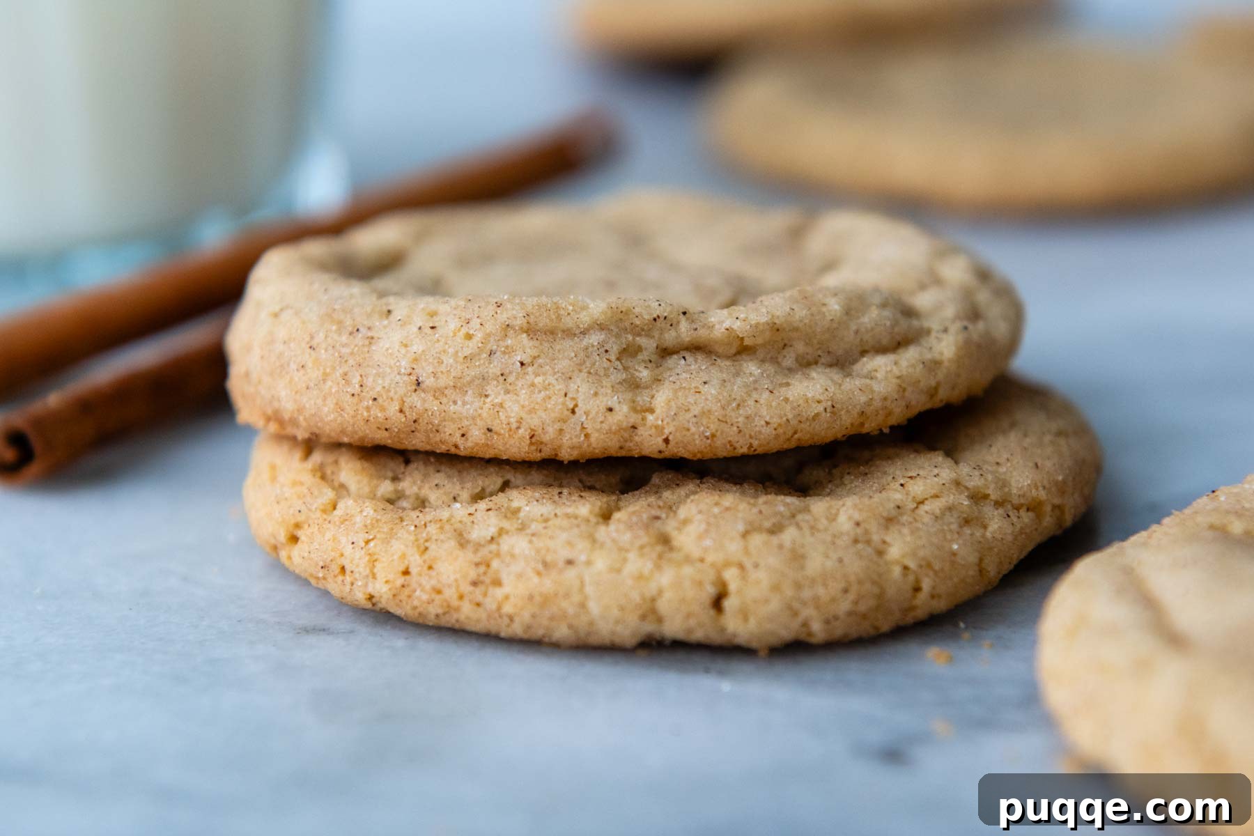 A charming stack of two perfectly baked gluten-free snickerdoodle cookies resting on a pristine white surface, highlighting their inviting texture.